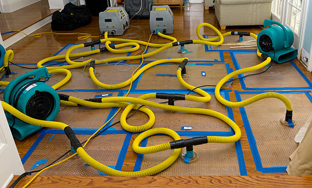 Professional Flood Damage Restoration technician working in Wright, FL